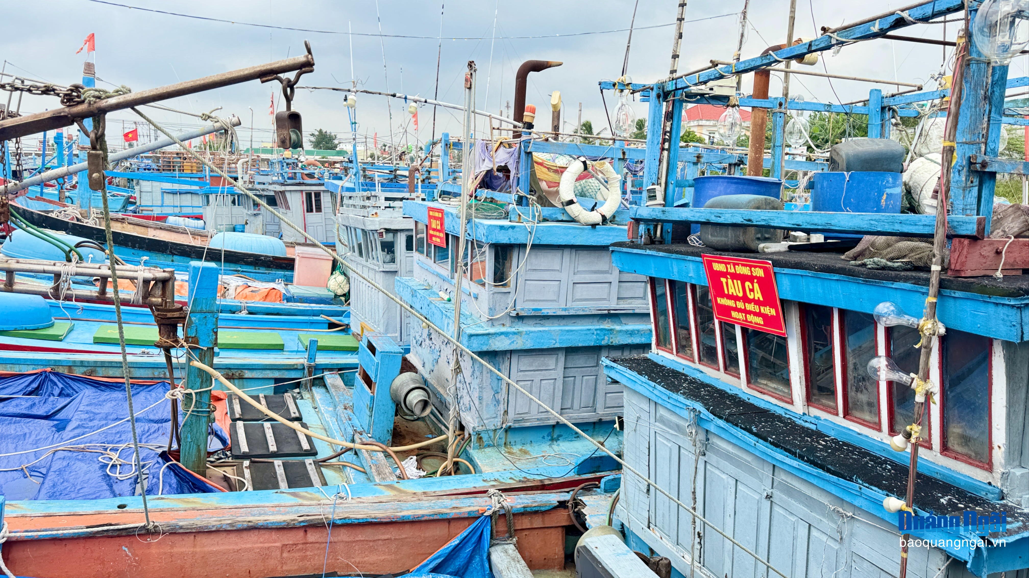 Quảng Ngãi siết chặt quản lý tàu cá thi hành án, ngăn nguy cơ vi phạm IUU