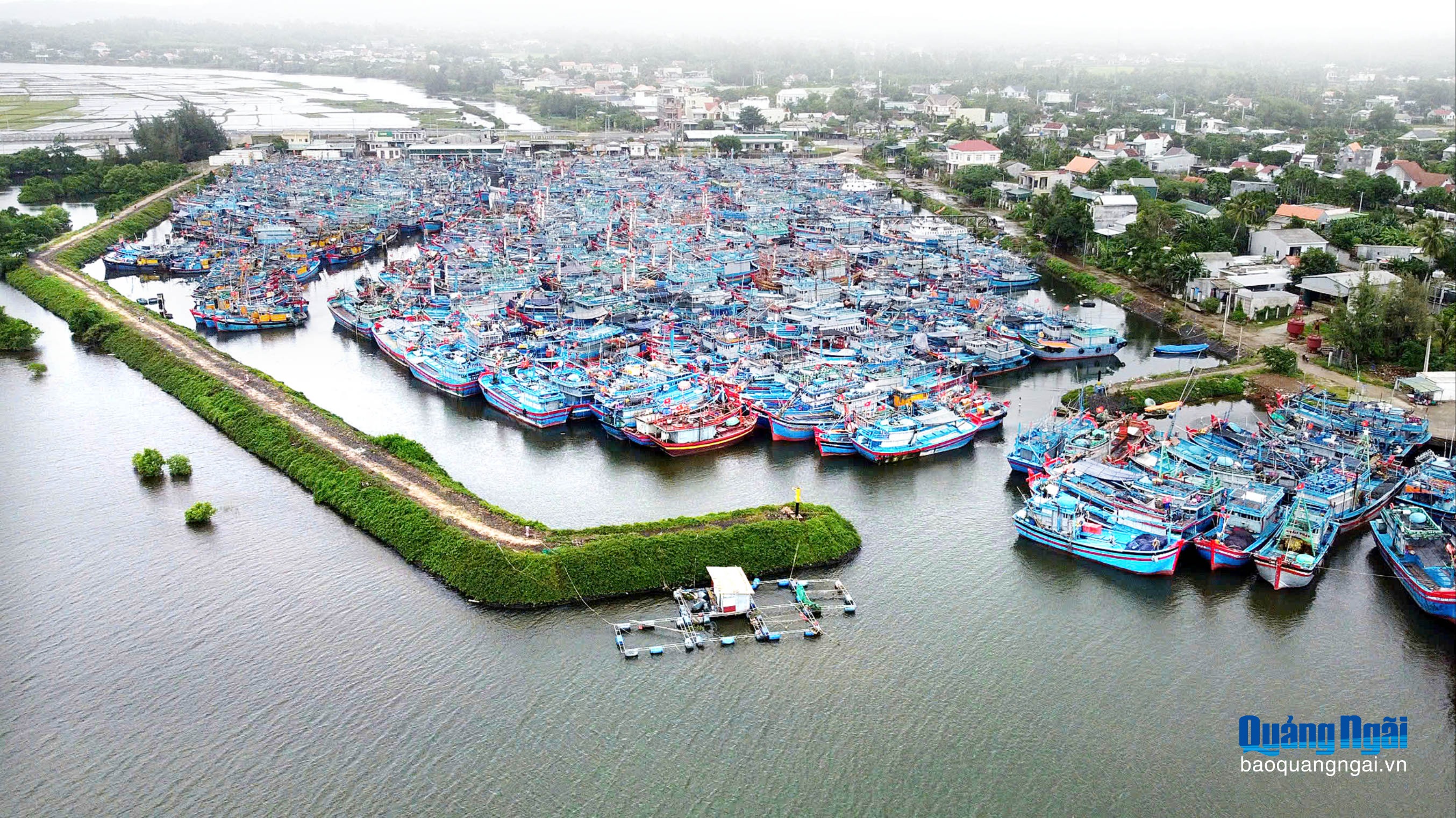 Cơ hội cuối để gỡ “thẻ vàng” IUU