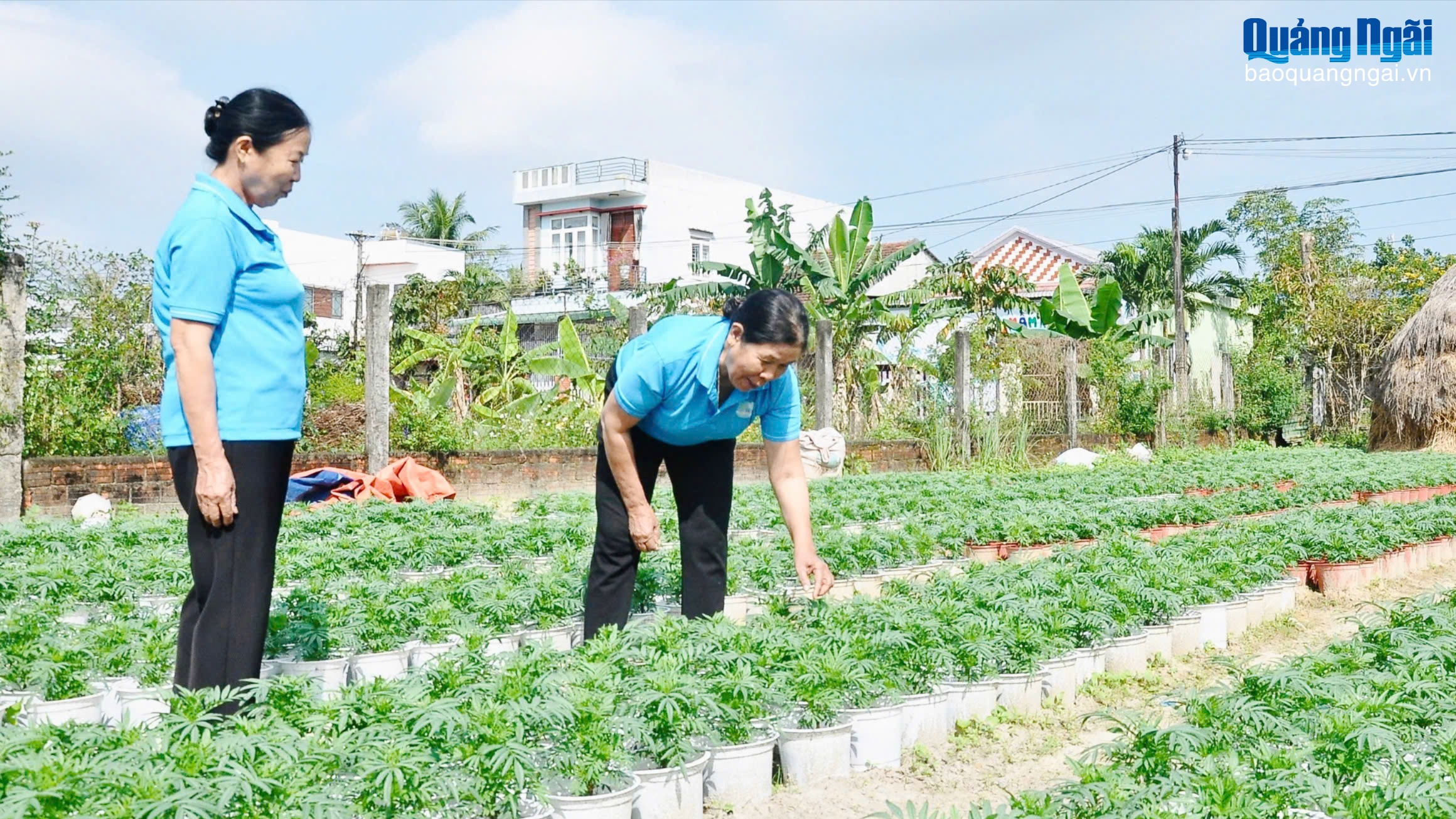 Những phụ nữ cao tuổi gương mẫu