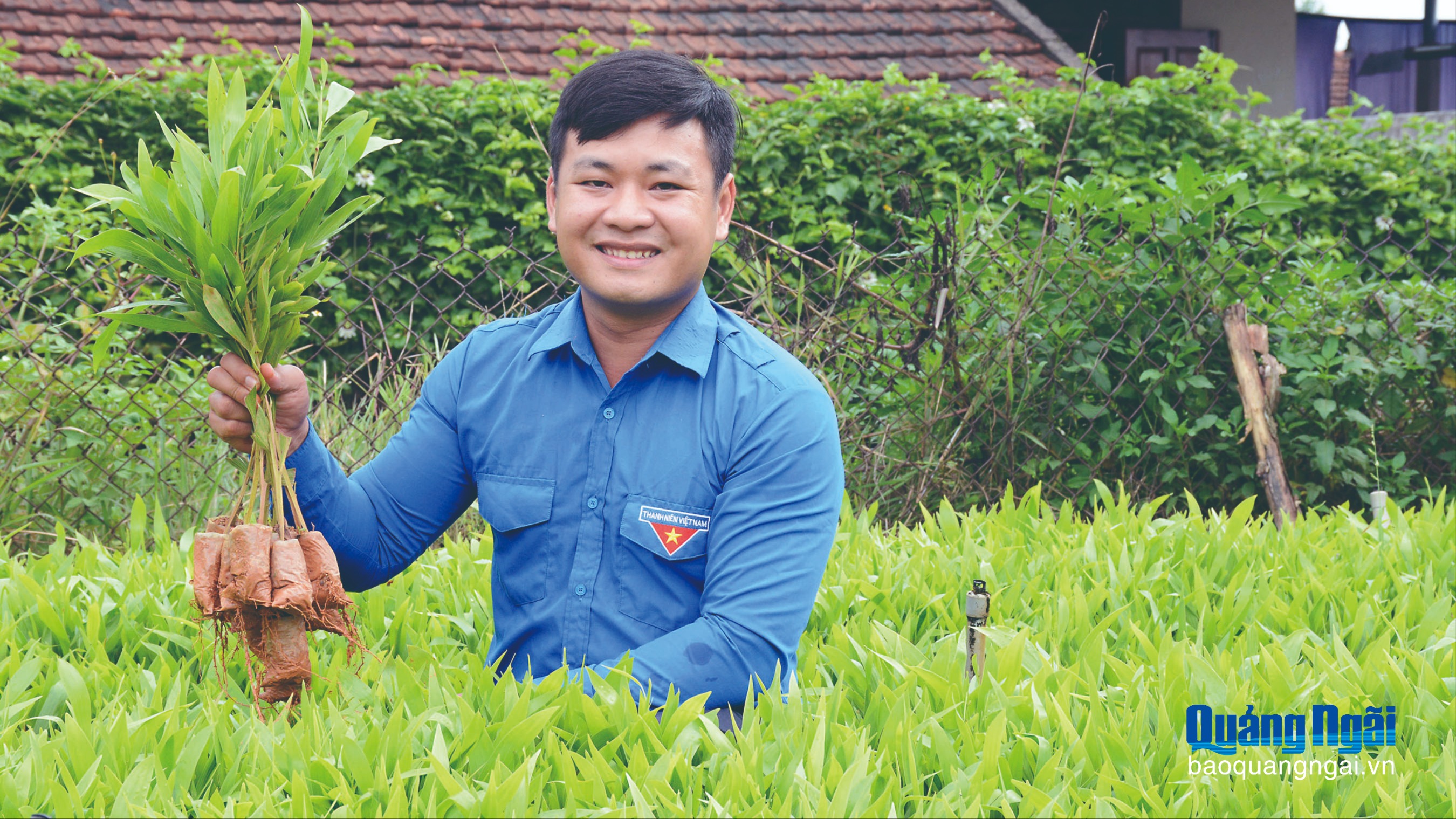 Người trẻ ngại chi việc khó