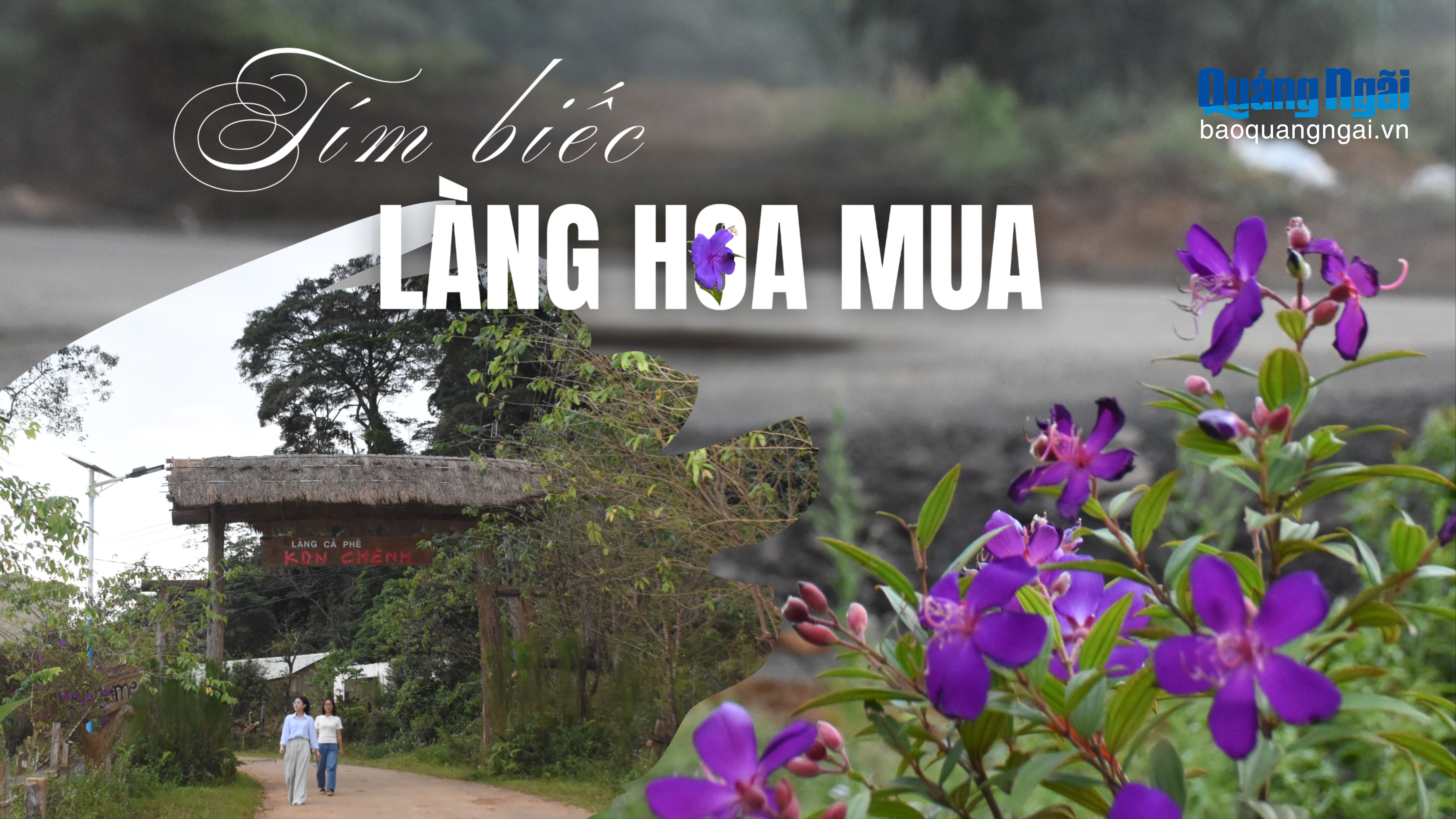 Tím biếc... làng hoa mua
