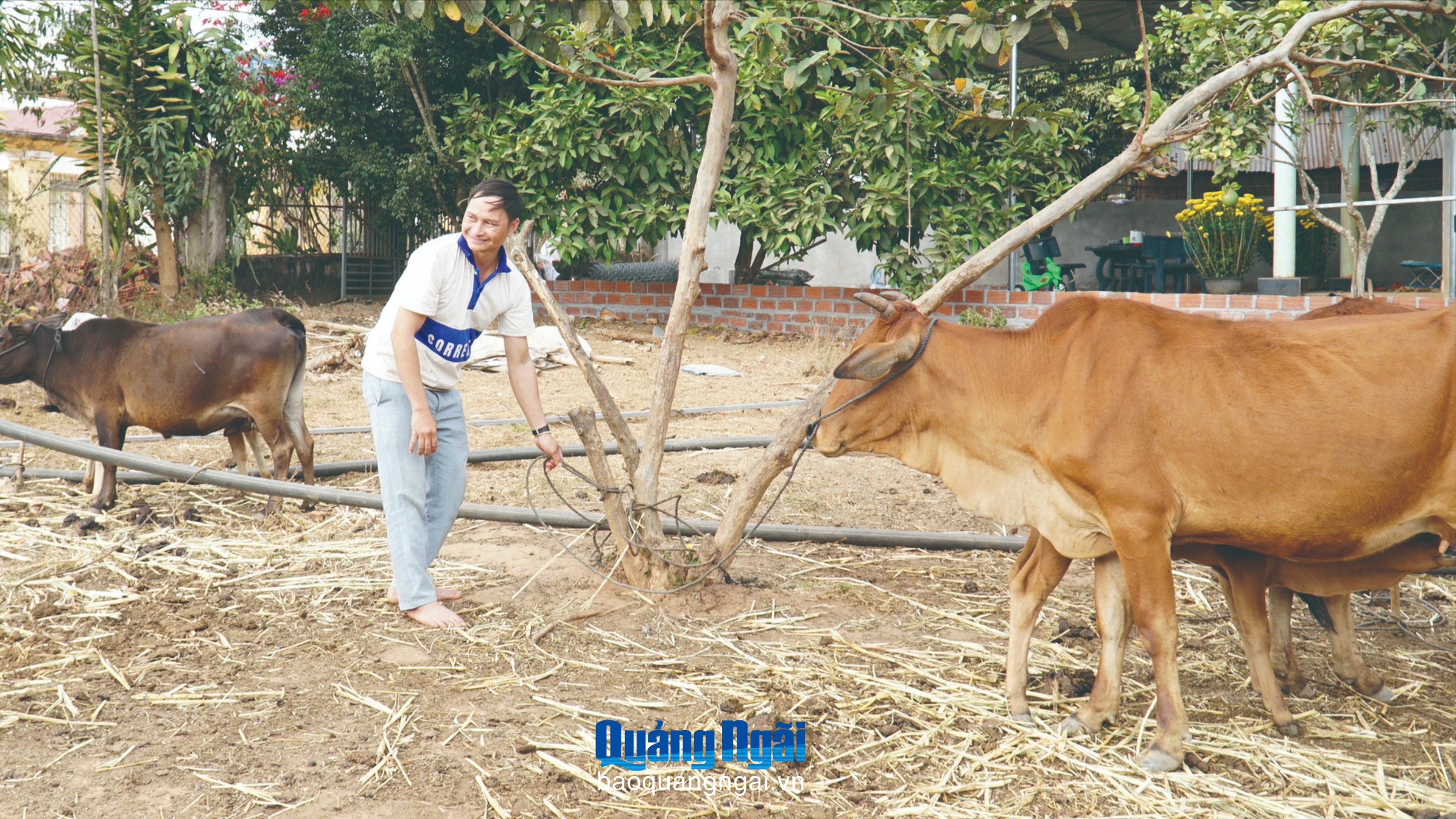 Hỗ trợ đoàn viên, thanh niên vươn lên thoát nghèo