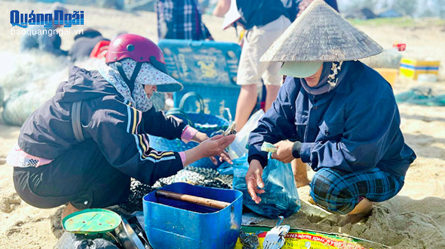 Ngư dân trúng đậm ghẹ biển