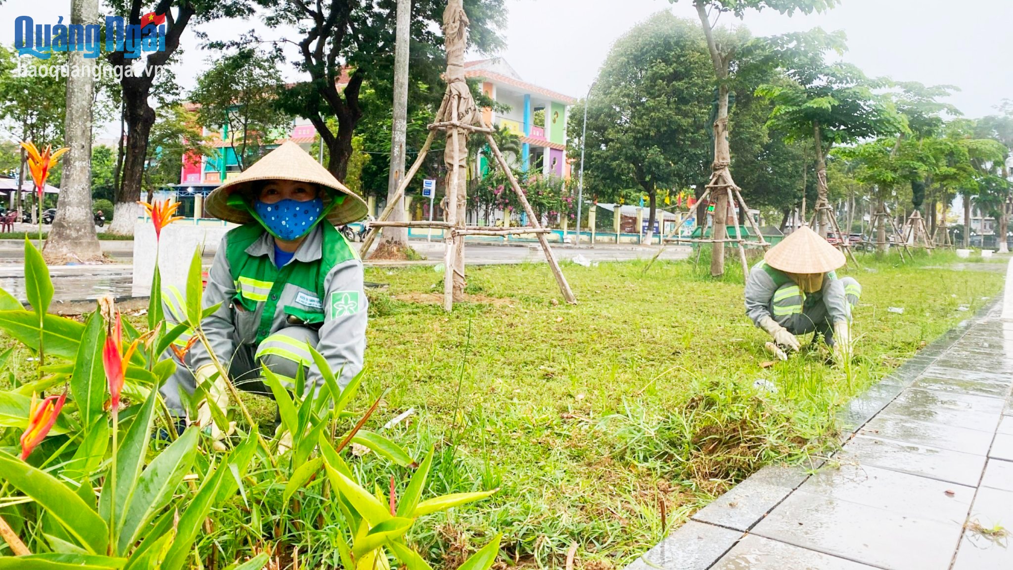 Khi ông Mặt Trời thức dậy