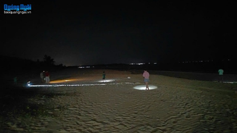 Thú vui săn còng biển