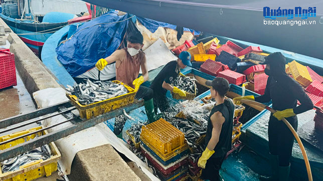 Đẩy mạnh truy xuất nguồn gốc thủy sản điện tử