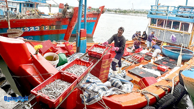 Kỳ vọng phiên biển cuối năm