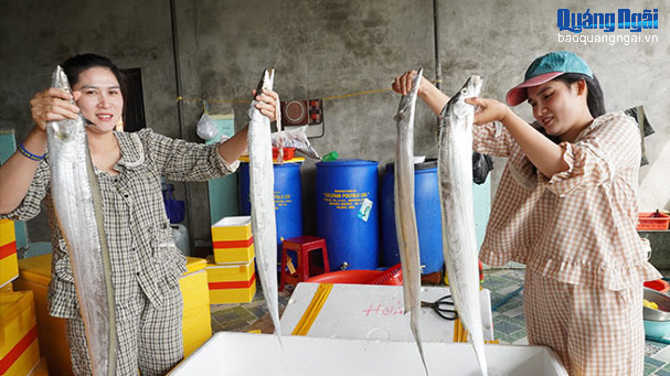 Chợ hải sản online