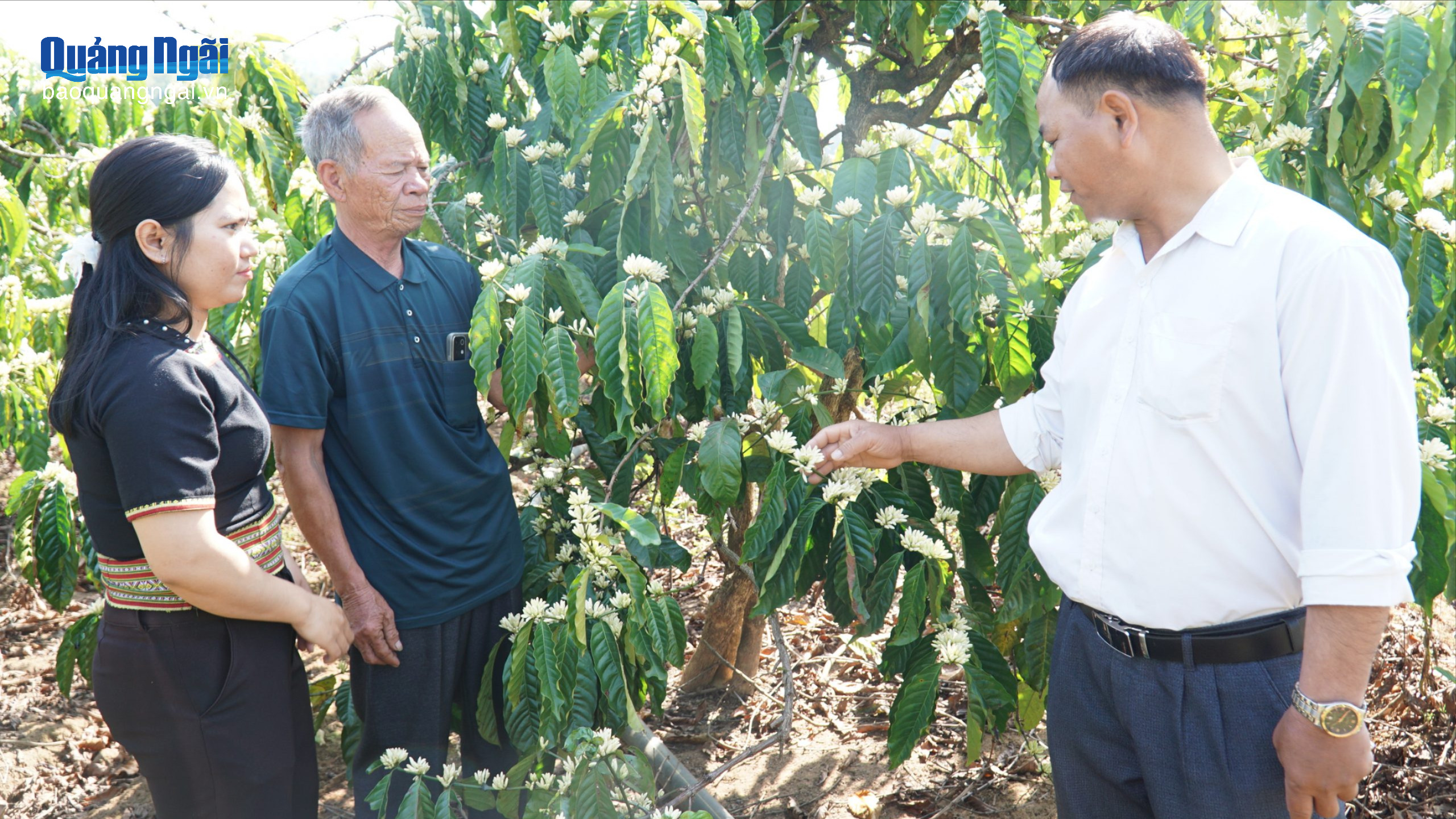 Đổi thay ở những vùng quê cách mạng