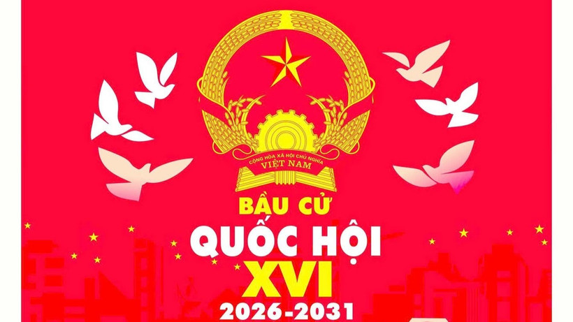 [Hỏi đáp] Người ứng cử đại biểu Quốc hội, đại biểu HĐND có thể là thành viên của các tổ chức phụ trách bầu cử không?
