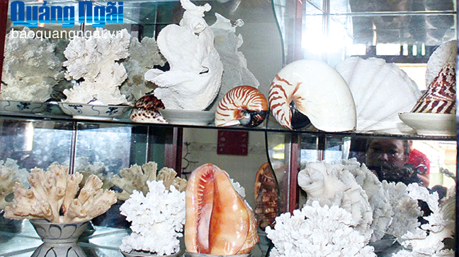 Kỷ vật từ Hoàng Sa