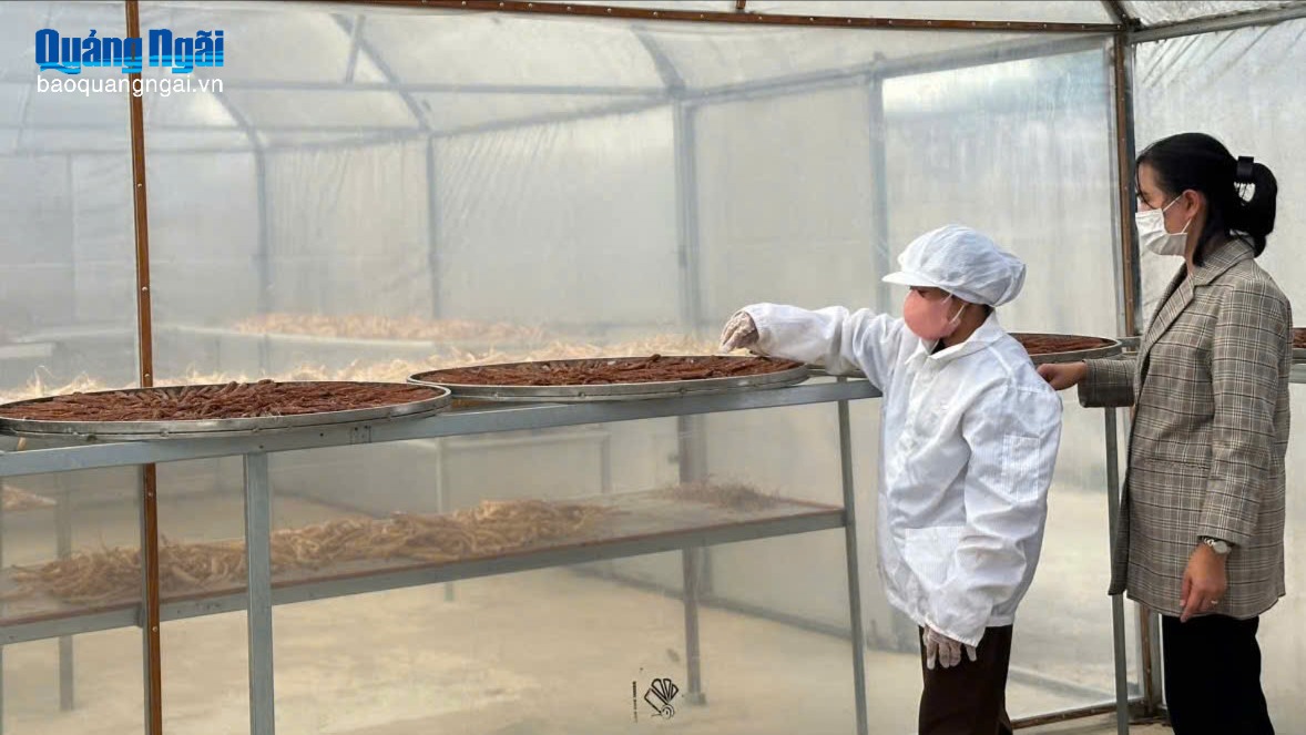 Bảo tồn sức khỏe, di sản và sinh kế