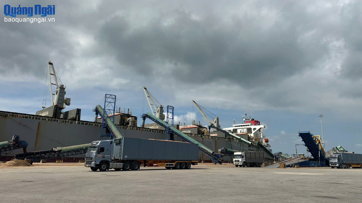 Cảng biển Quảng Ngãi “chuyển mình” nhờ số hóa