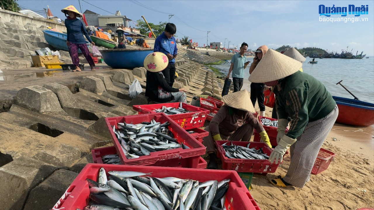 Lộc biển đầu năm