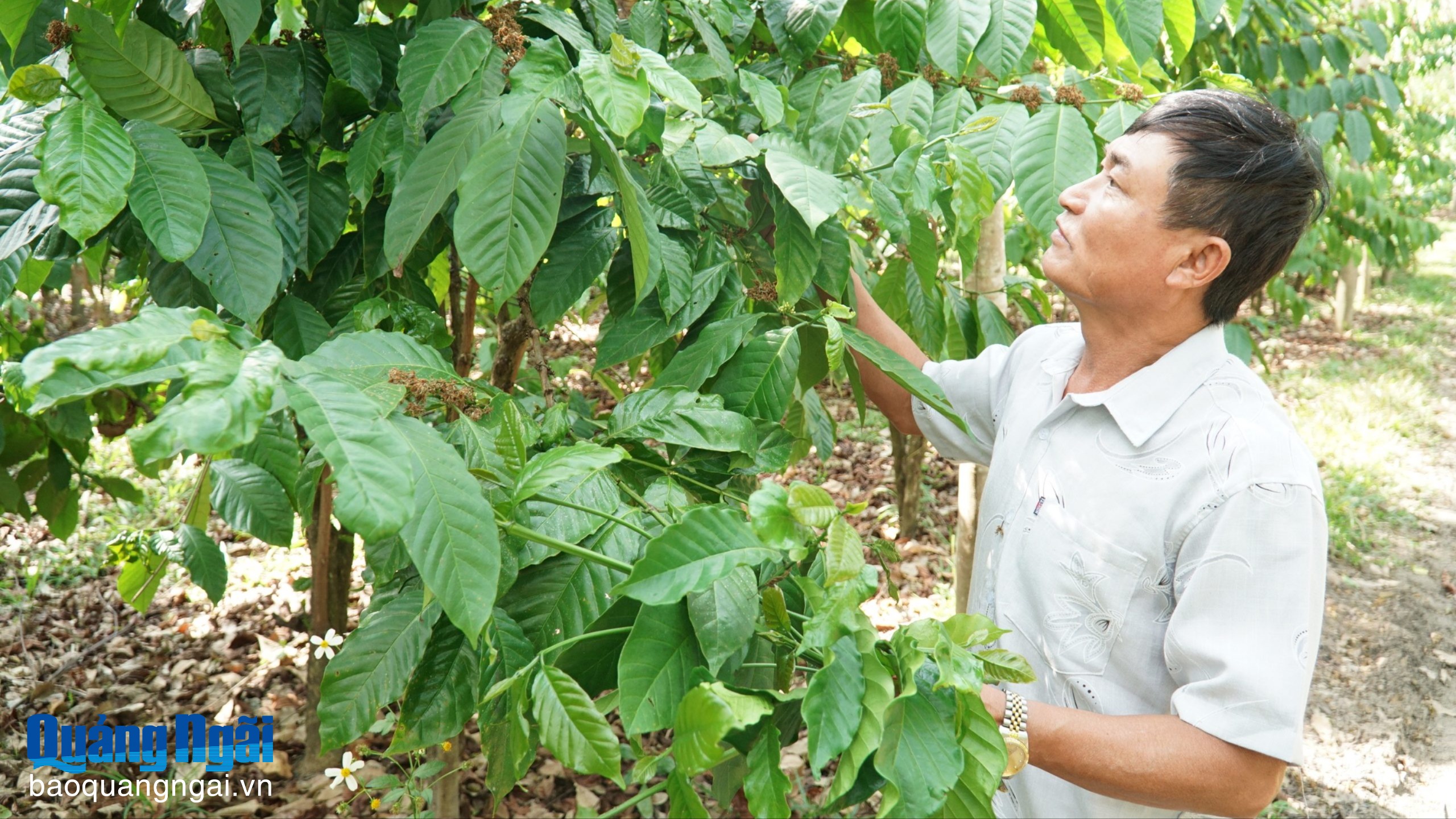 Tiên phong phát triển kinh tế