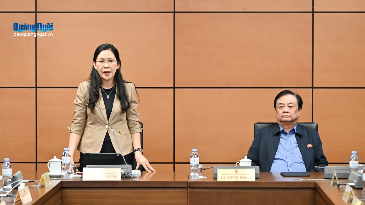 Đoàn đại biểu Quốc hội tỉnh góp ý dự thảo Nghị quyết của Quốc hội