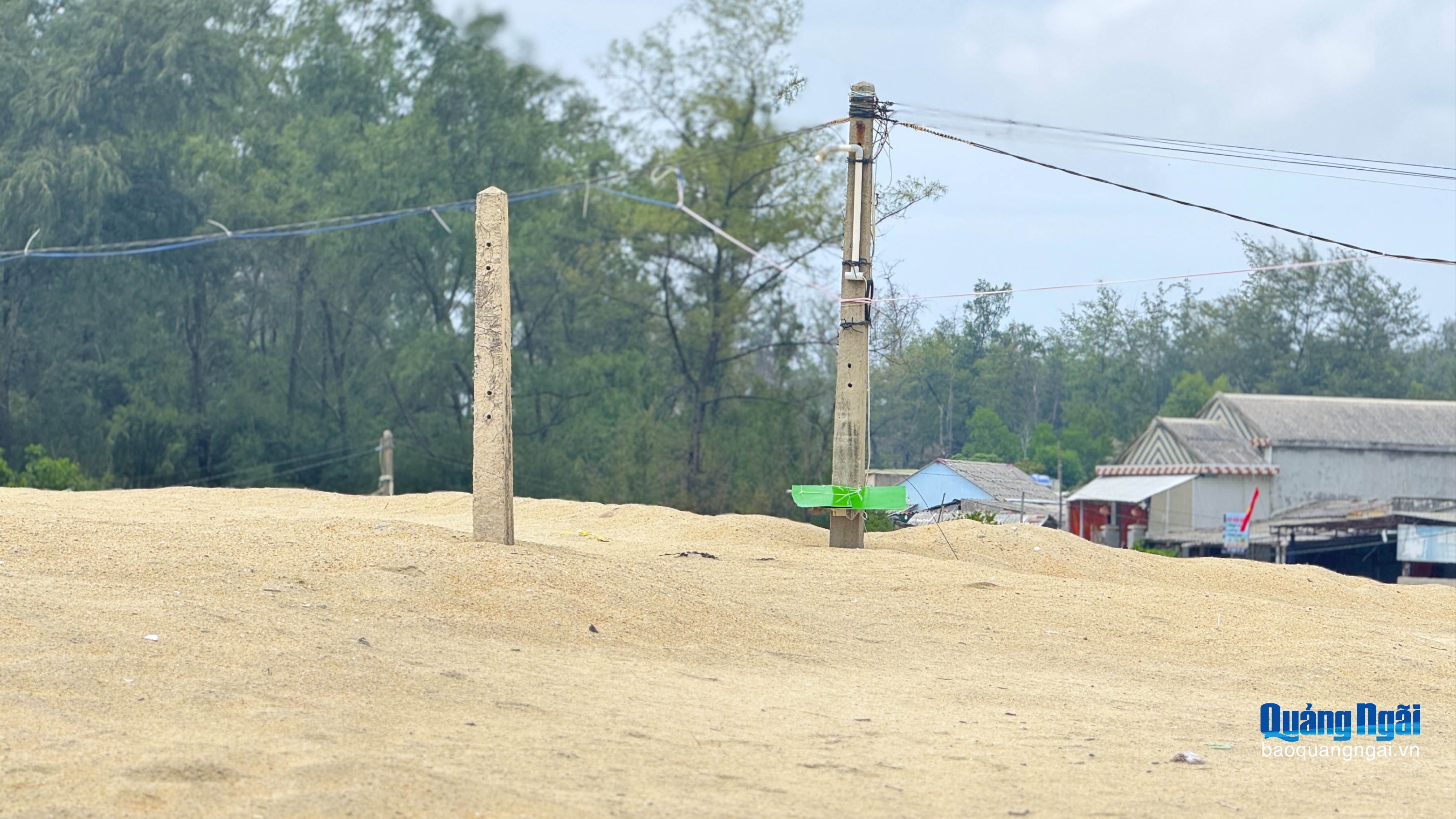 Cần sớm xử lý bãi thải sau nạo vét luồng vào cảng Mỹ Á