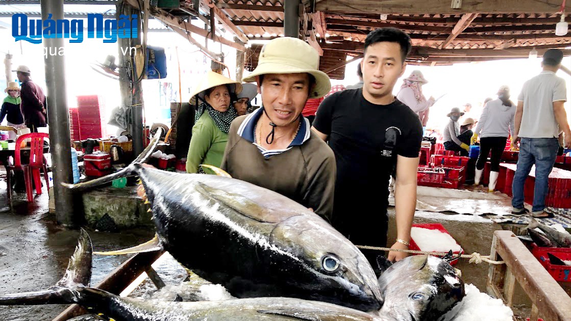 Thông tin liên quan đến cá rô phi: Sai sự thật