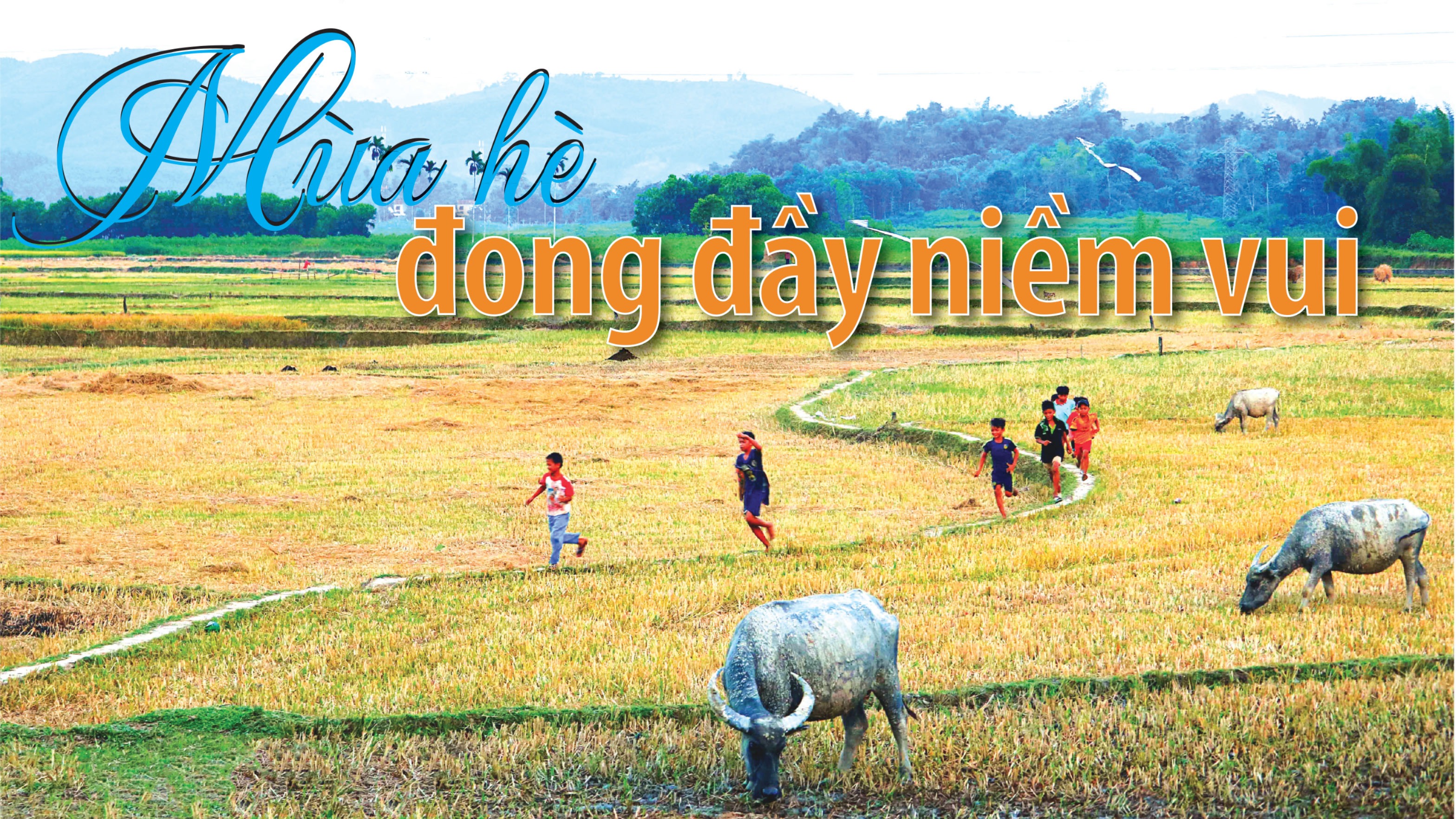 Mùa hè đong đầy niềm vui