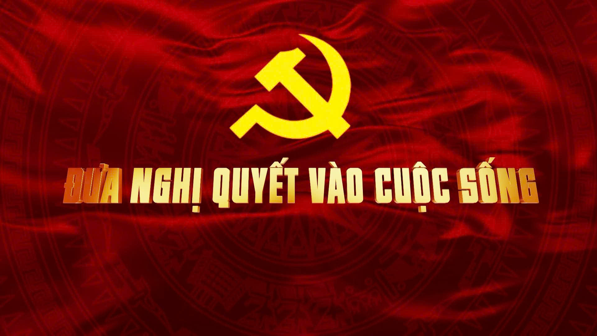 [Video]. Bản tin Đưa Nghị quyết vào cuộc sống (số 02)