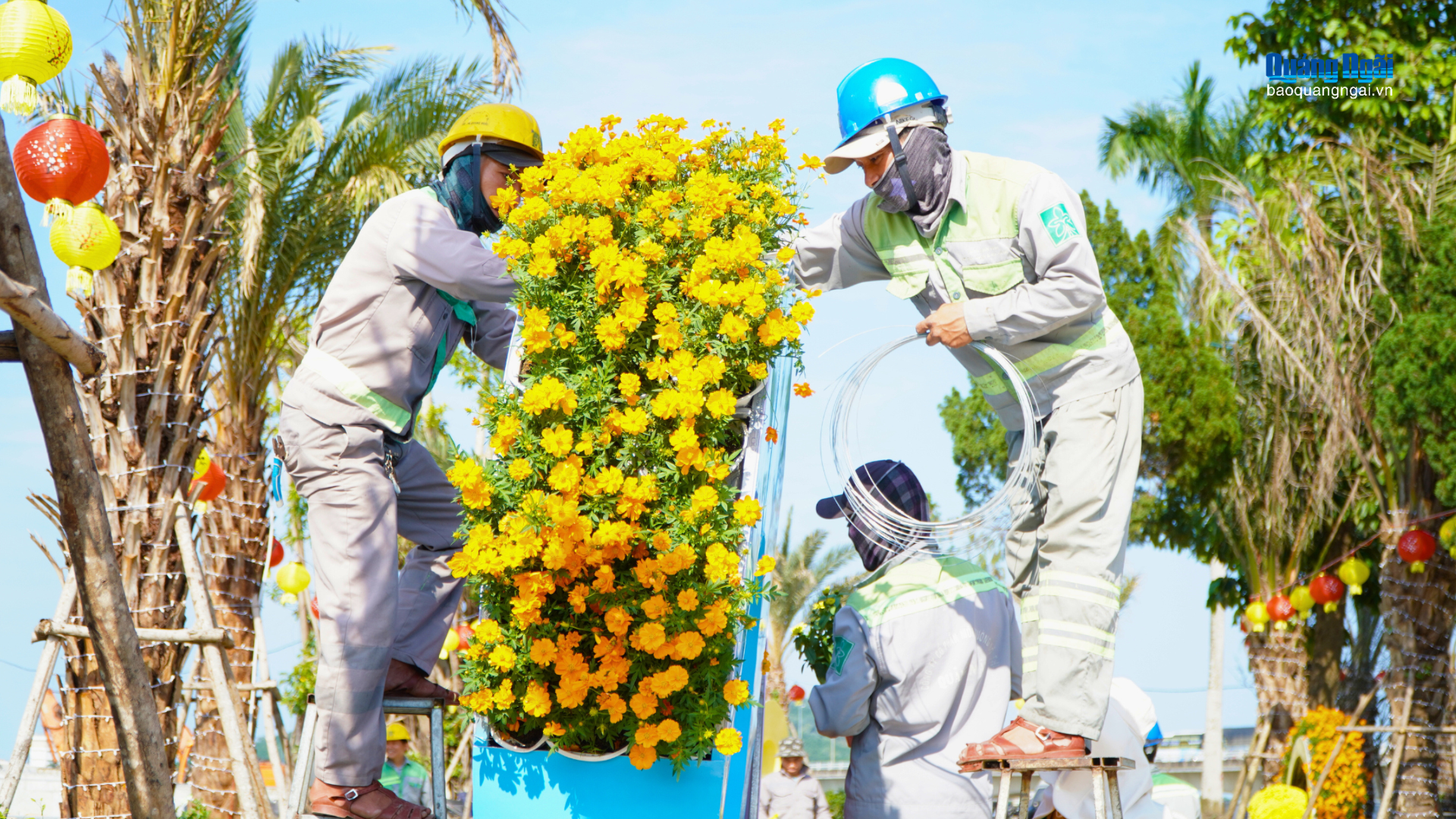 Vườn hoa Ba Tơ khoác áo mới trước tết Bính Ngọ