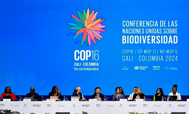 COP16: Bất đồng chưa thể vượt qua