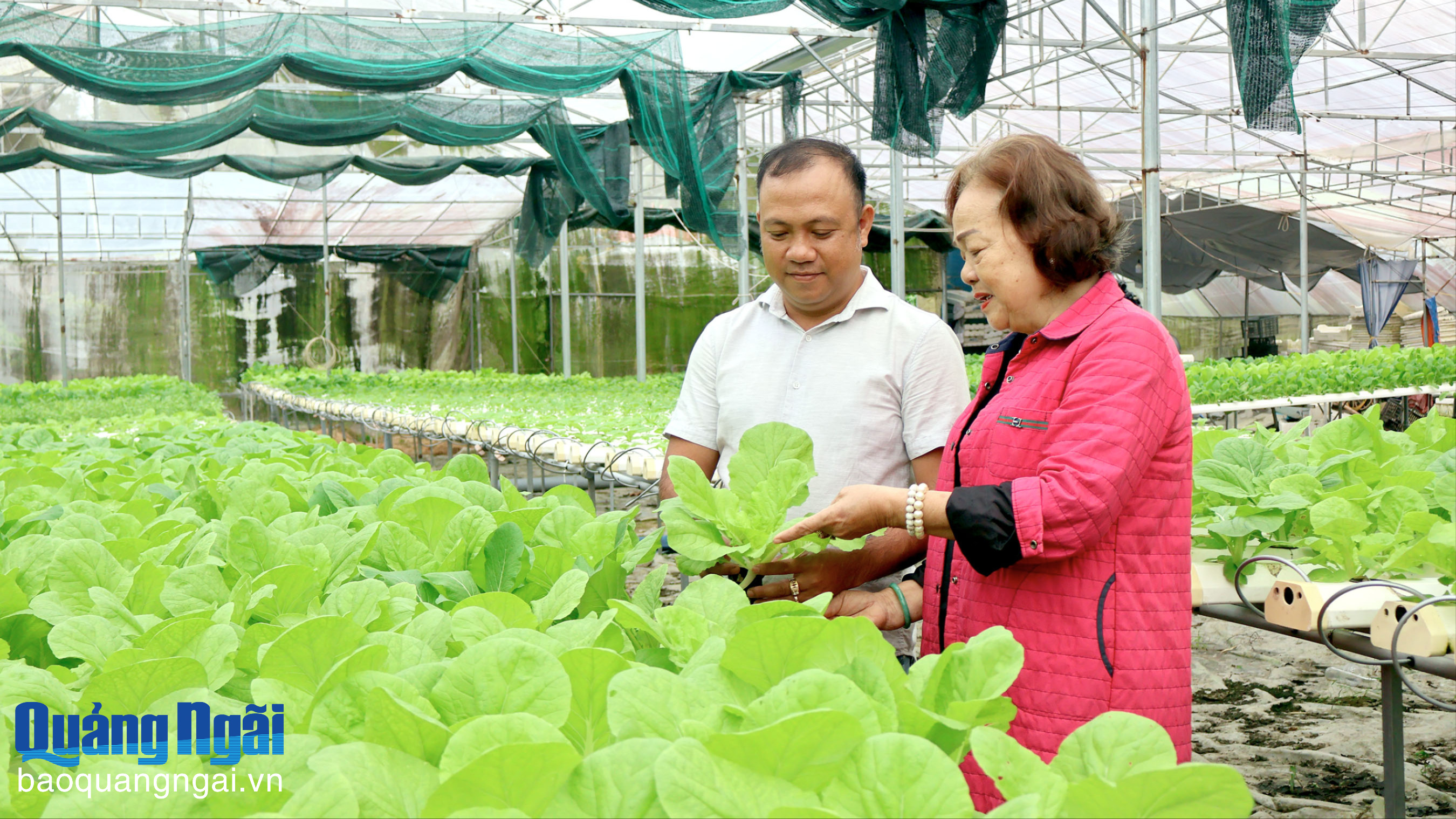 Giải quyết việc làm từ các hợp tác xã