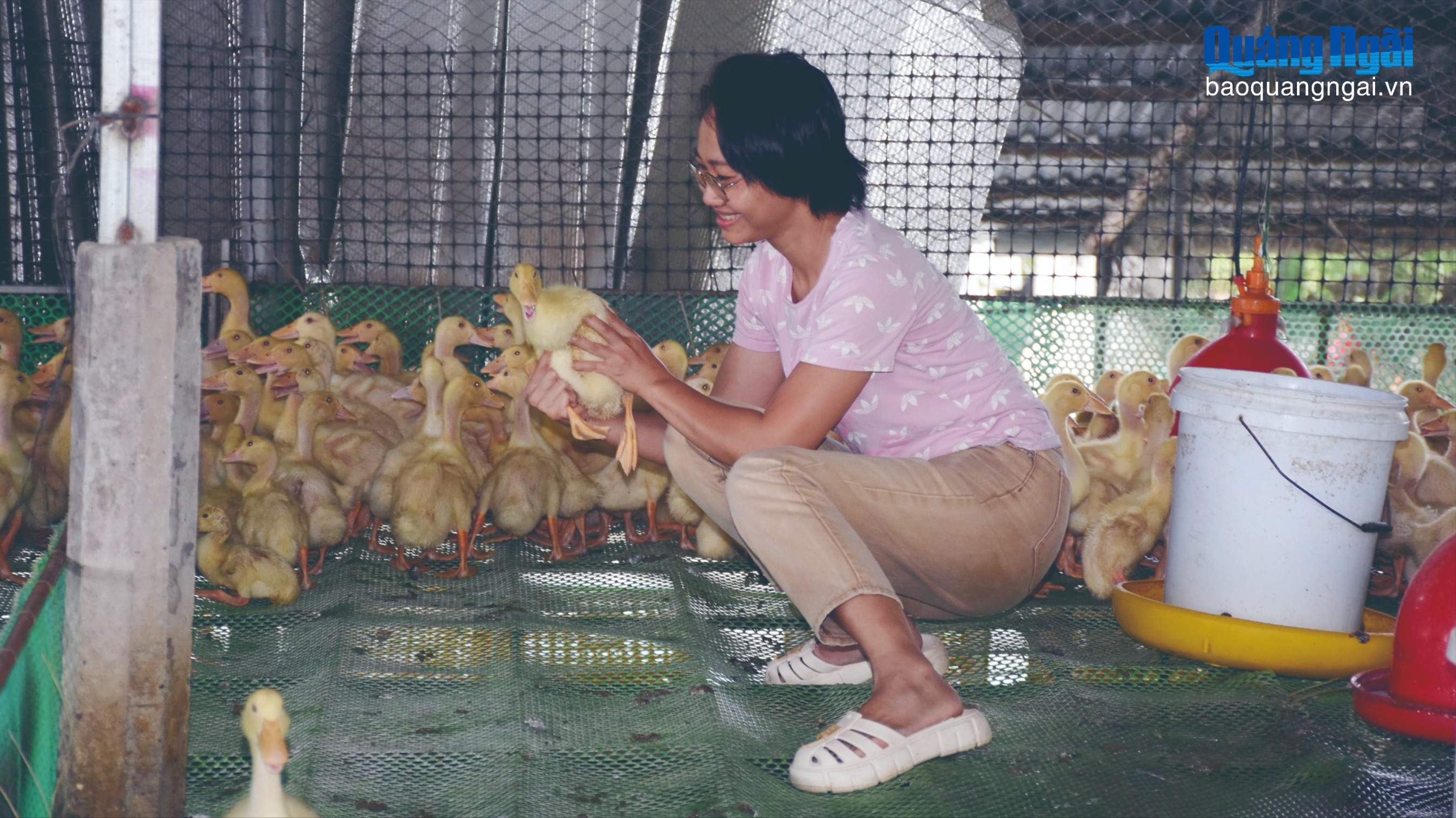 Khởi nghiệp từ mô hình chăn nuôi khép kín