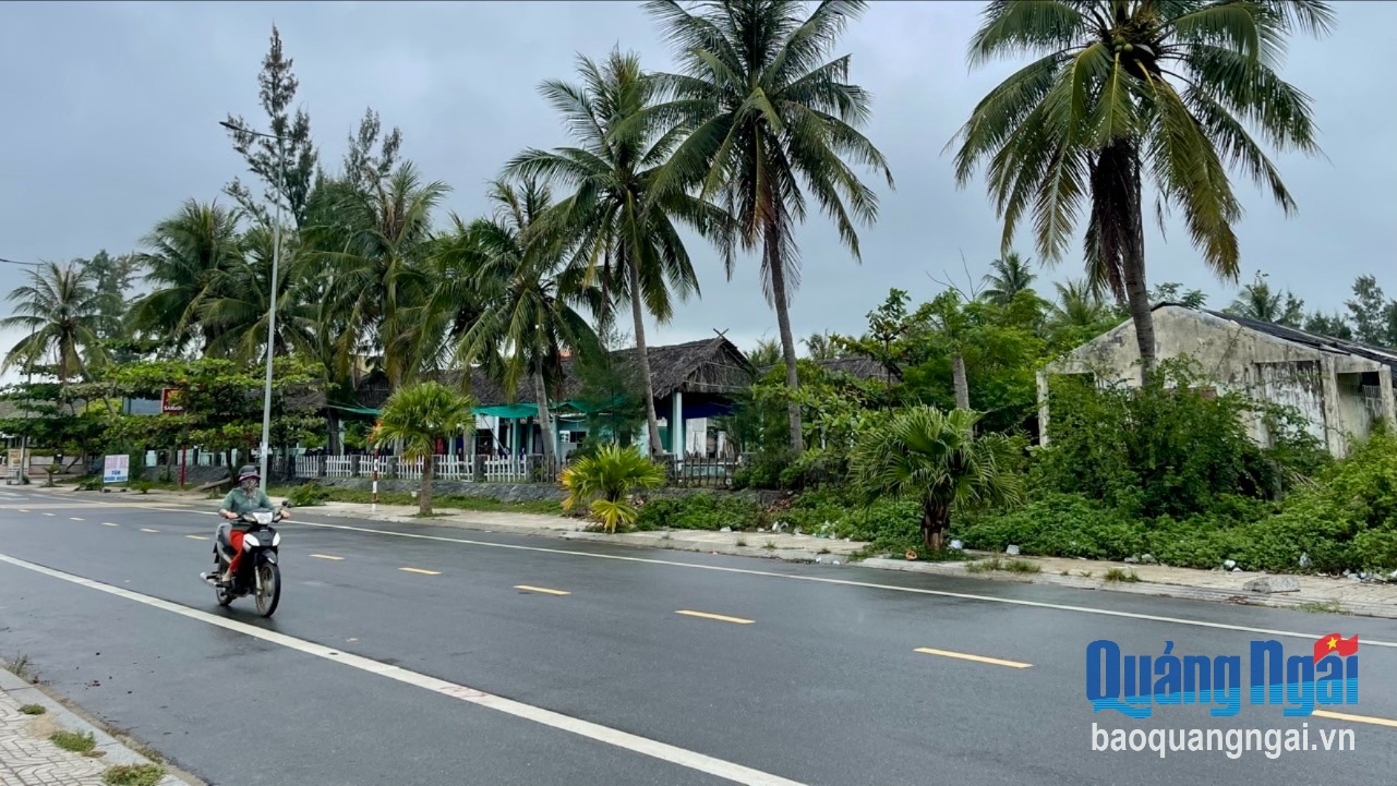 Cơ hội đầu tư dự án thương mại, du lịch