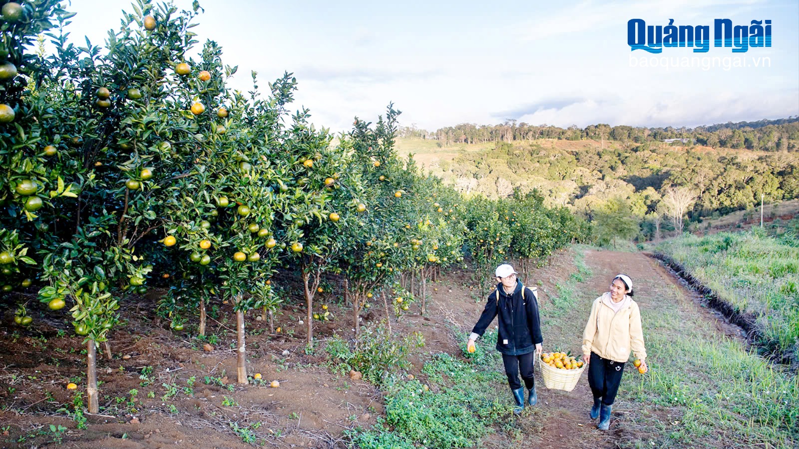 Khai thác tiềm năng, tận dụng thế mạnh