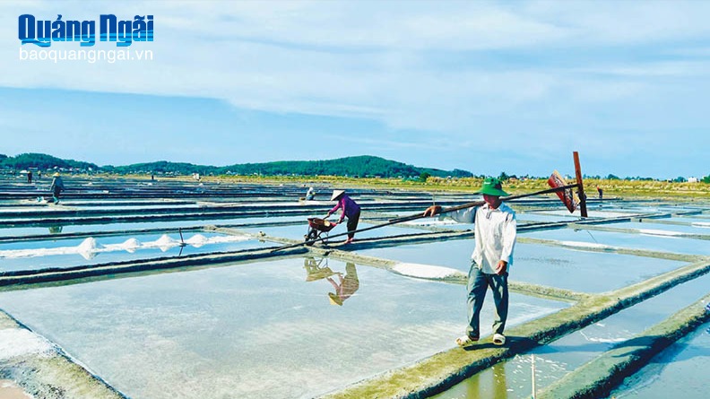 Nhọc nhằn nghề muối