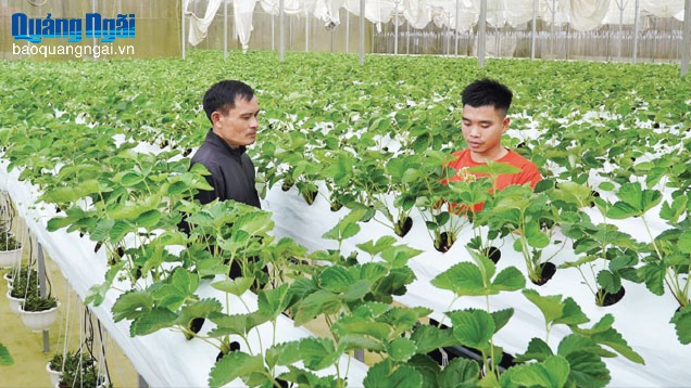 Mang nhiệt huyết về cơ sở