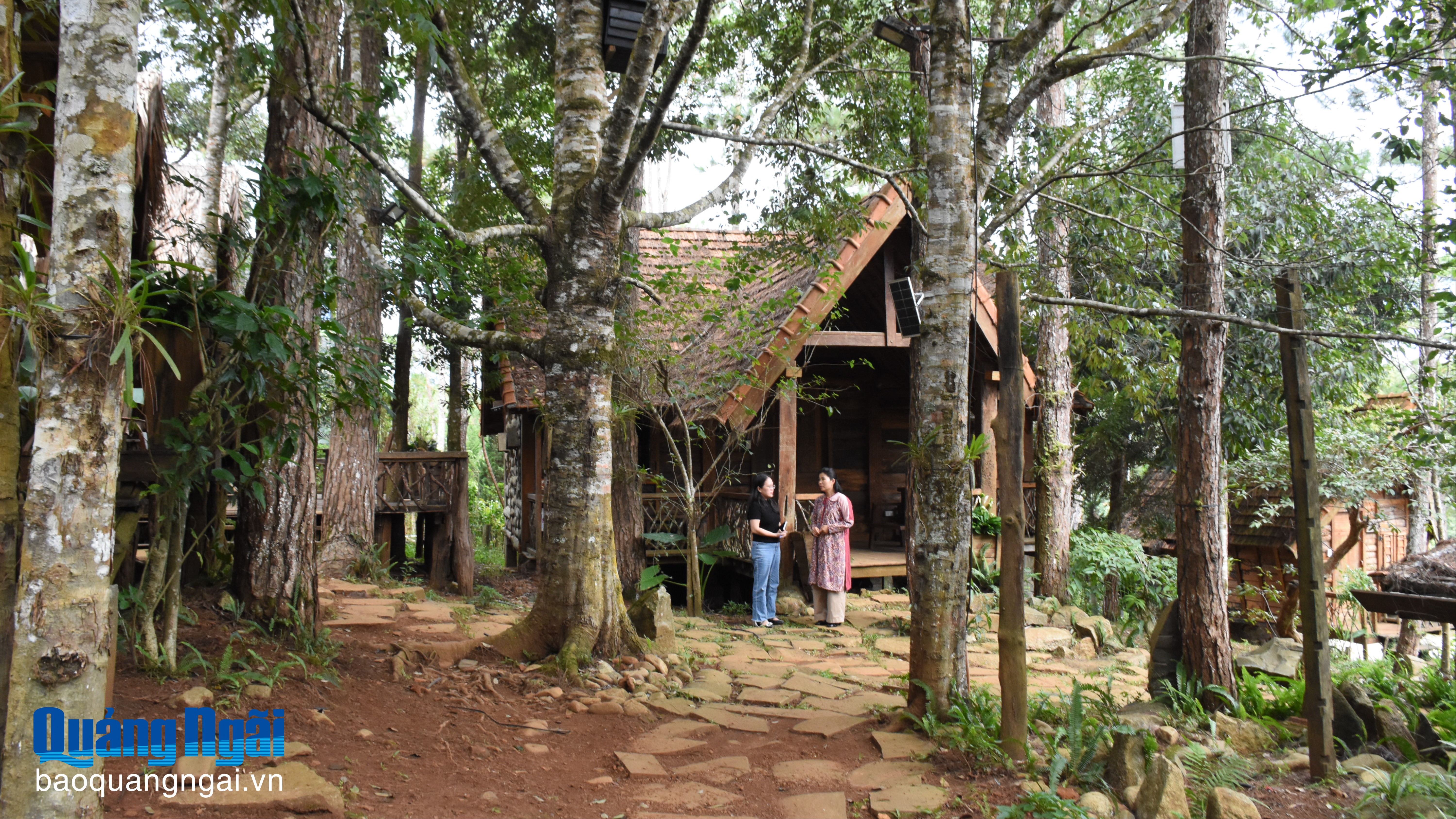 Lối đi riêng của Y Trang