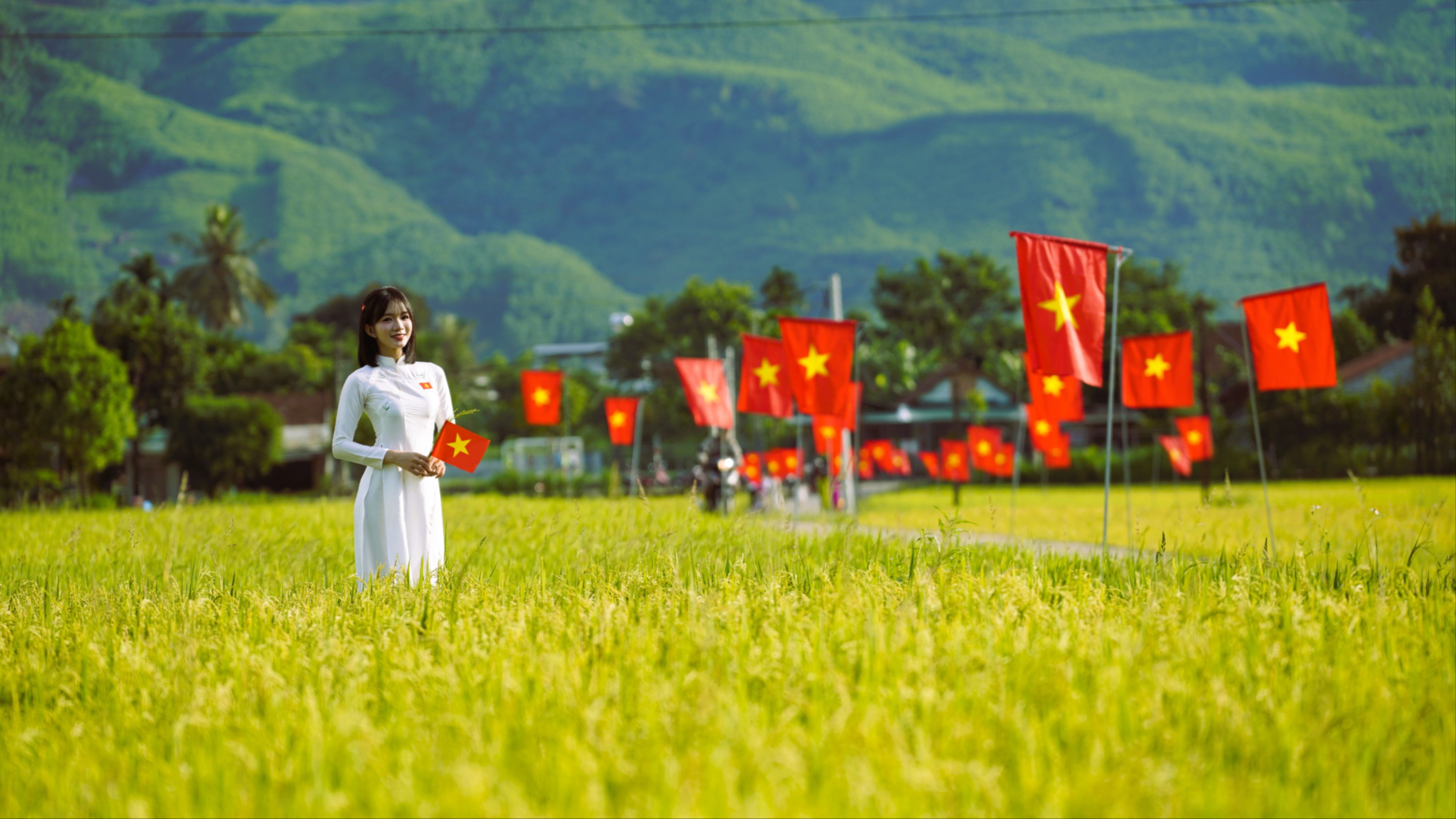 Quê tôi là Quảng Ngãi