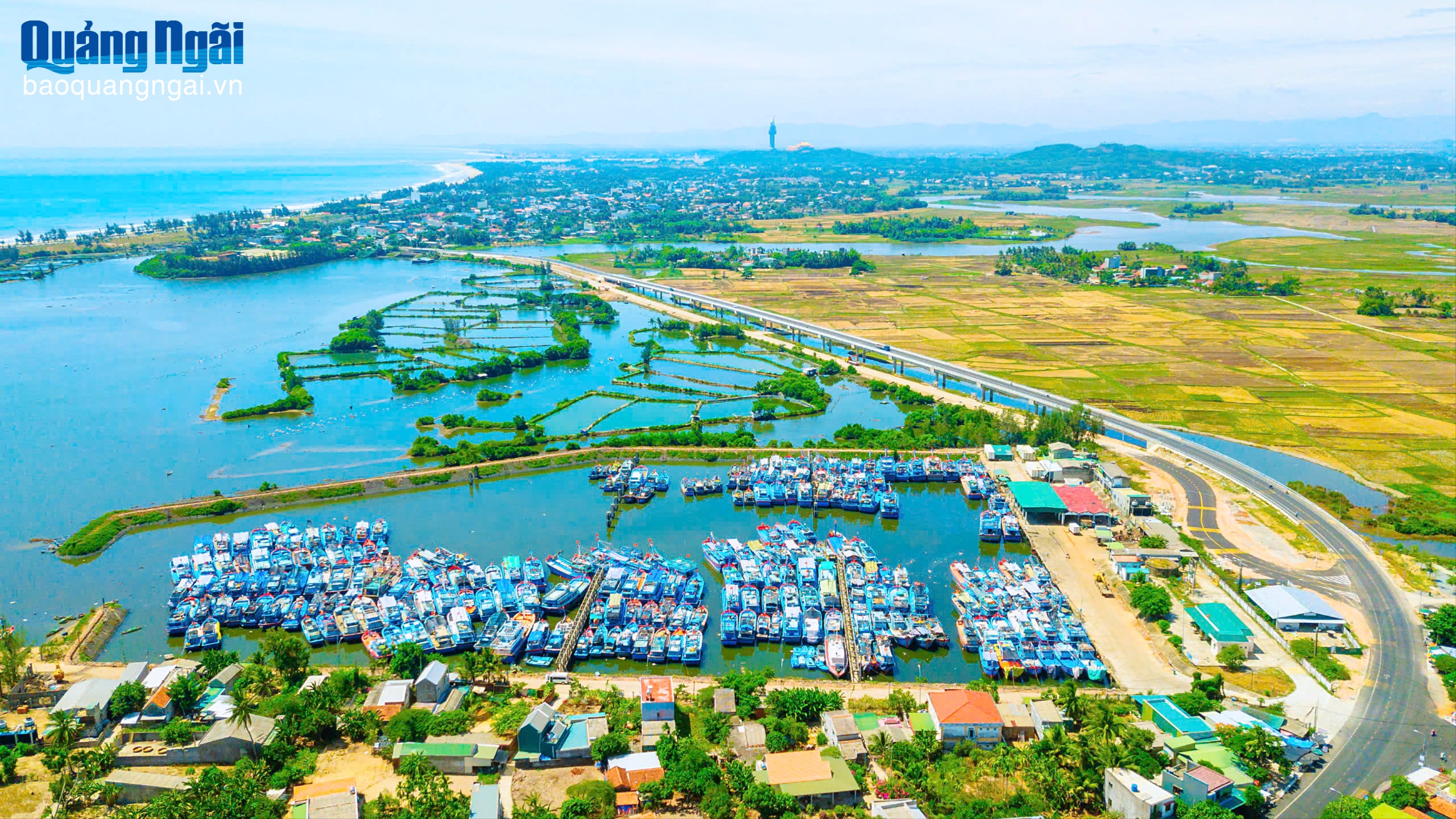 Bám sát thực tiễn, định hướng tương lai