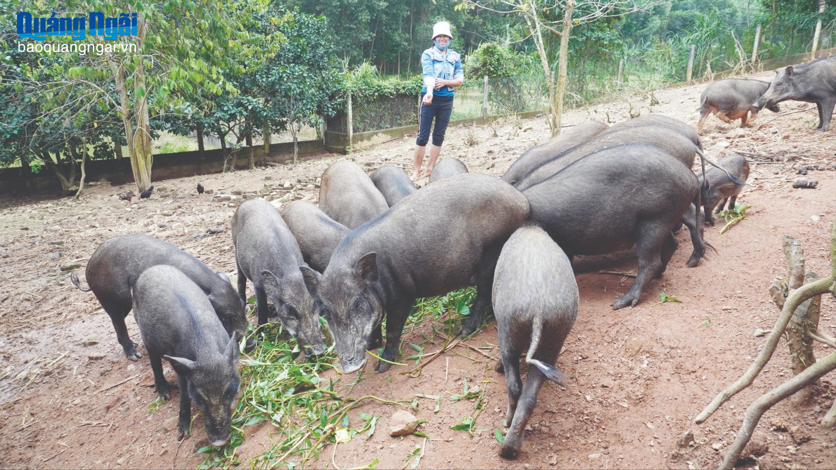 Người dân vùng cao chuẩn bị đặc sản phục vụ Tết