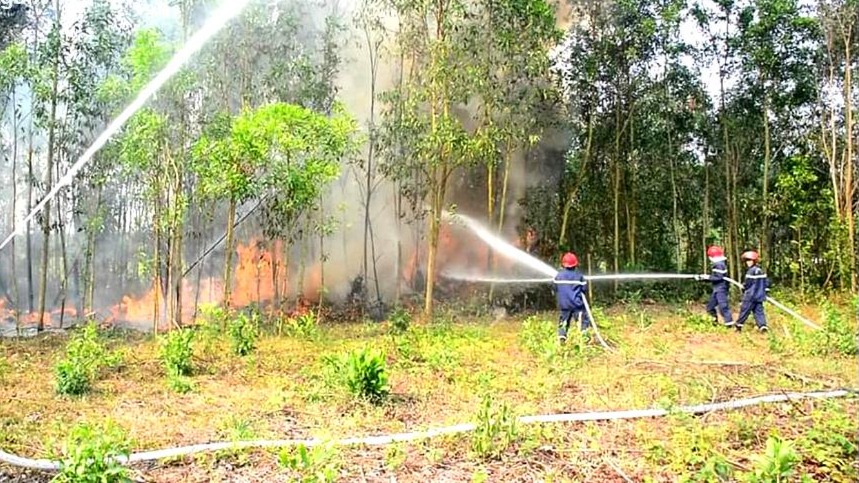 Siết chặt quản lý và phòng cháy, chữa cháy rừng