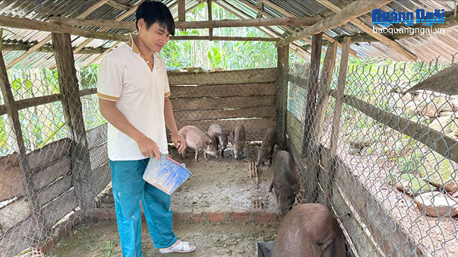 Vươn lên từ gian khó