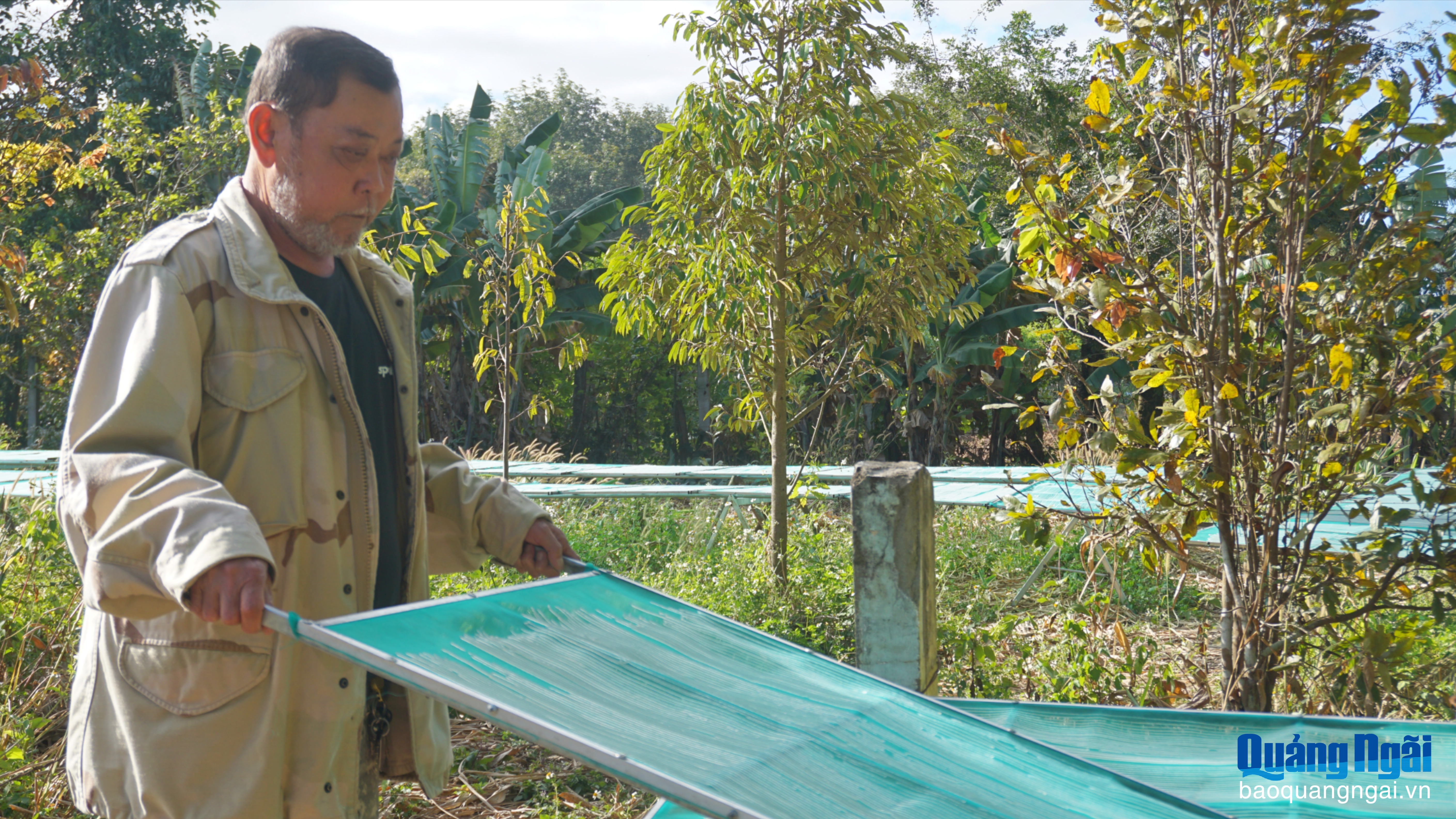 Hơn 40 năm đỏ lửa làm miến dong riềng