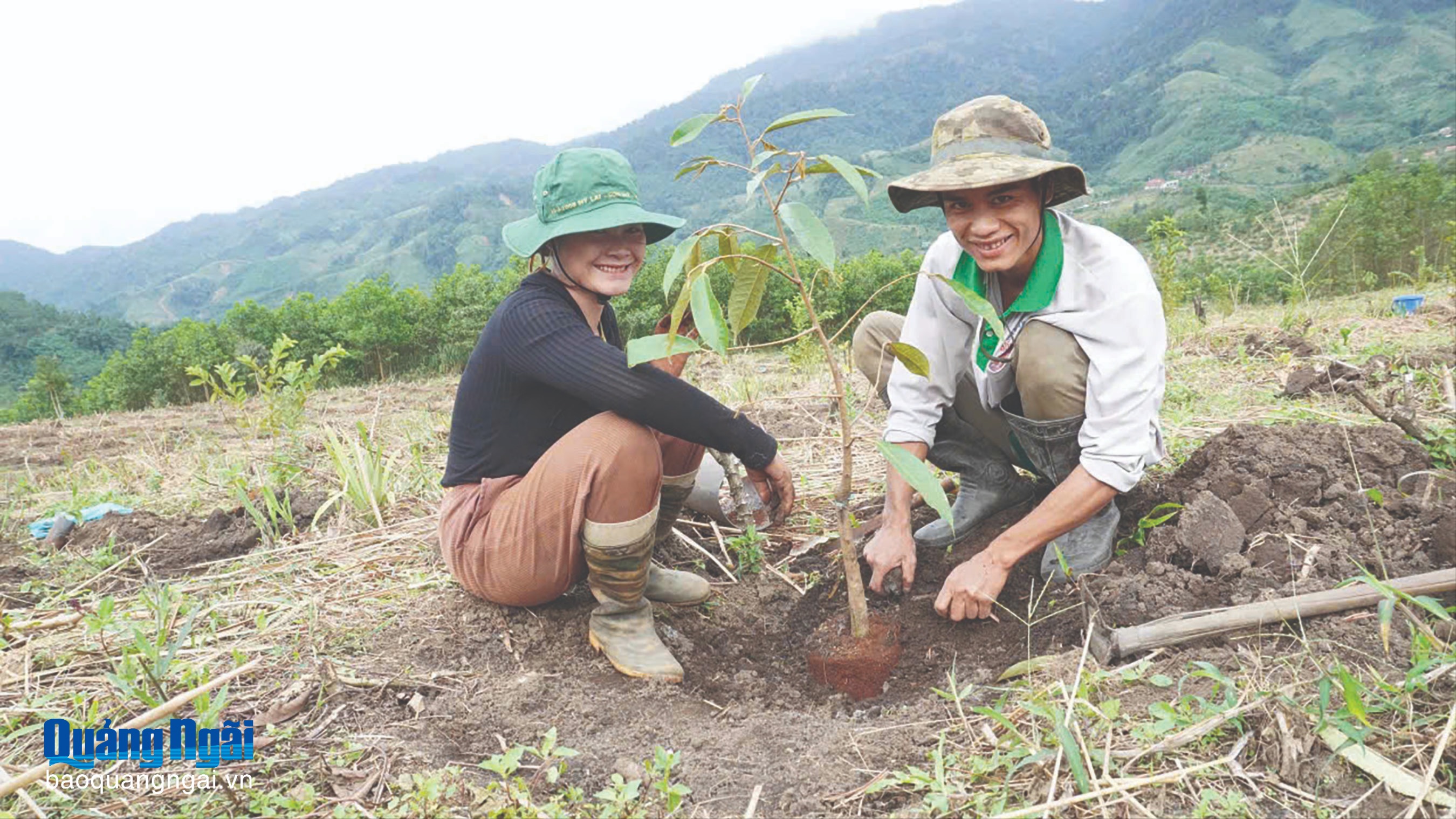 Đa dạng hóa cây trồng