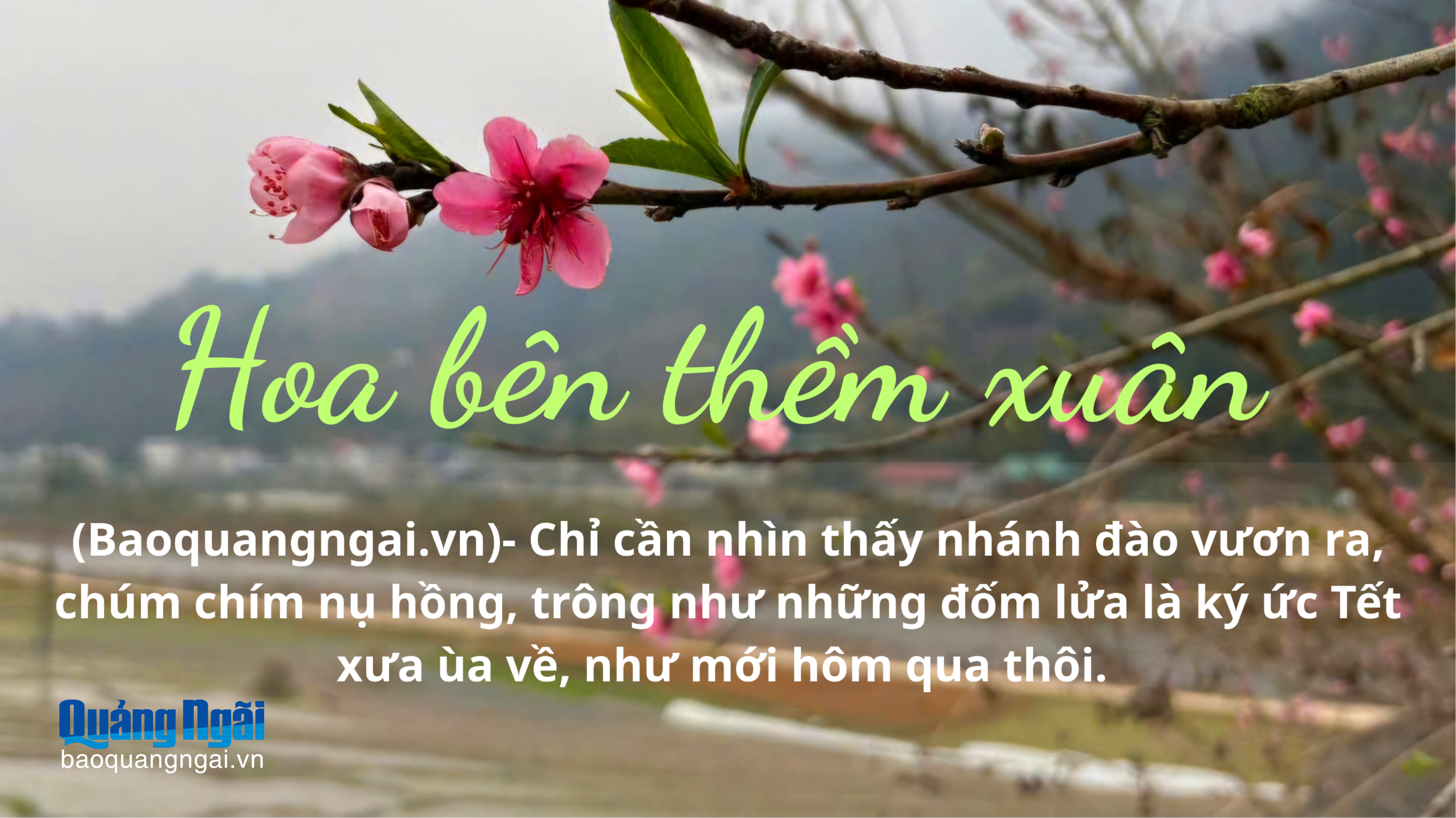 Hoa bên thềm xuân