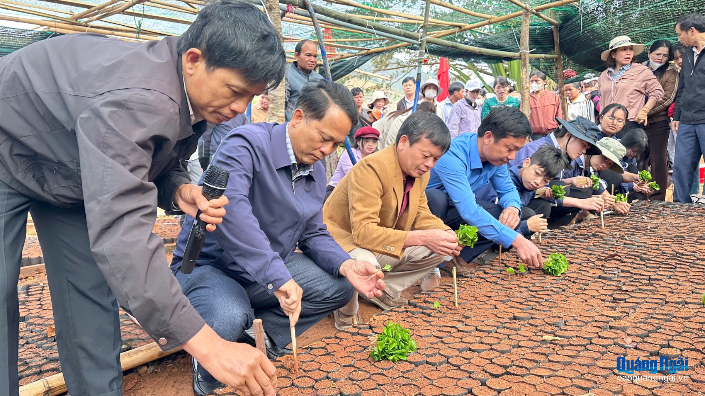 Ươm mầm sinh kế từ những bầu cà phê giống