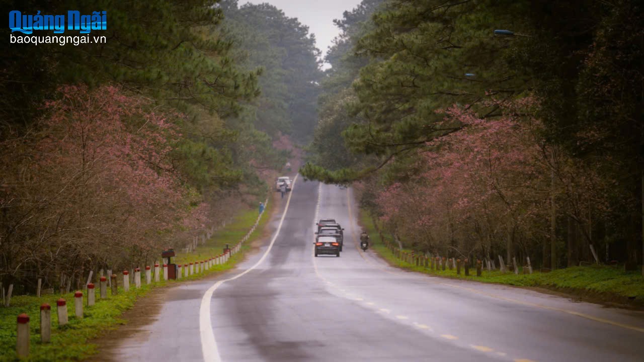 Thênh thang đường đi tới