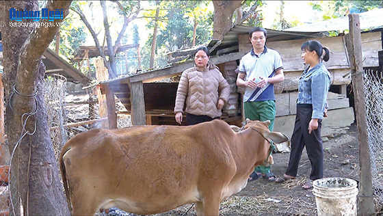 Chính sách giảm nghèo - Gieo mầm mùa xuân