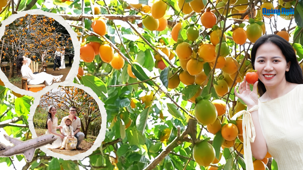 Mùa hồng chín ở Măng Đen