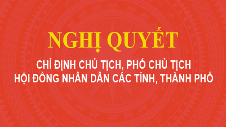 Nghị quyết chỉ định Chủ tịch, Phó Chủ tịch Hội đồng nhân dân các tỉnh, thành phố