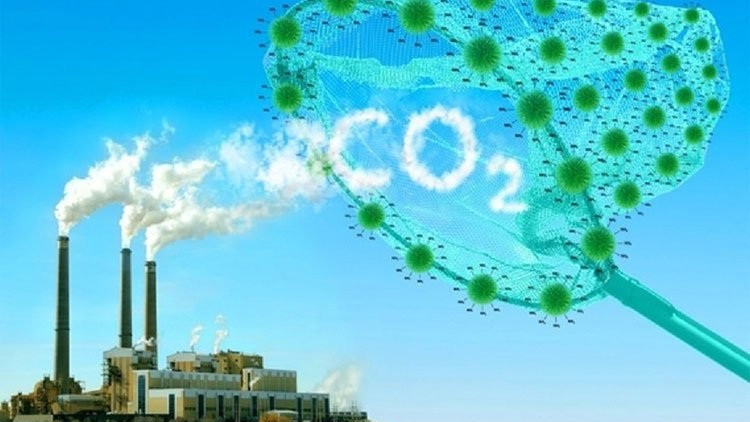 Chính sách mới có hiệu lực từ tháng 8