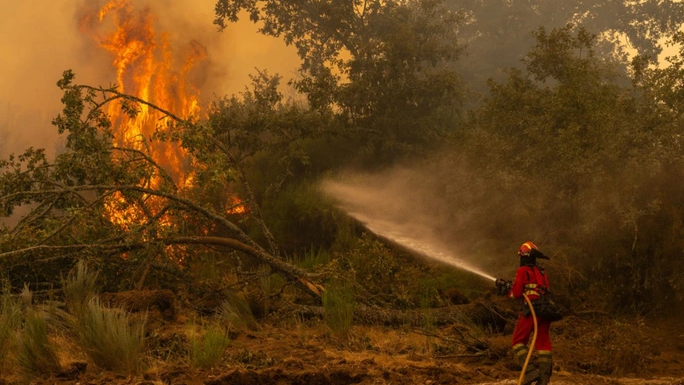 Nắng nóng, cháy rừng hoành hành ở châu Âu