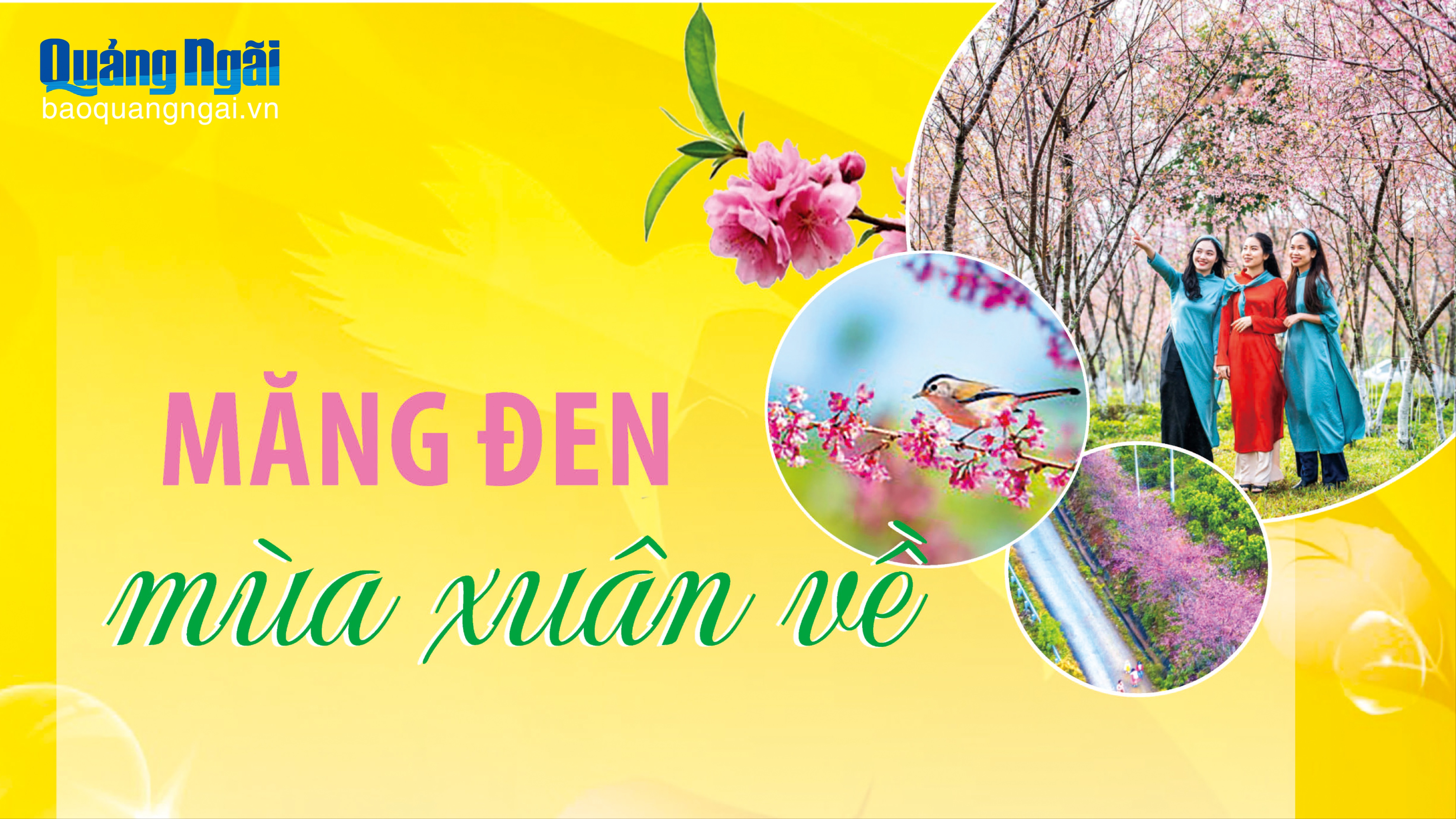 Măng Đen mùa xuân về