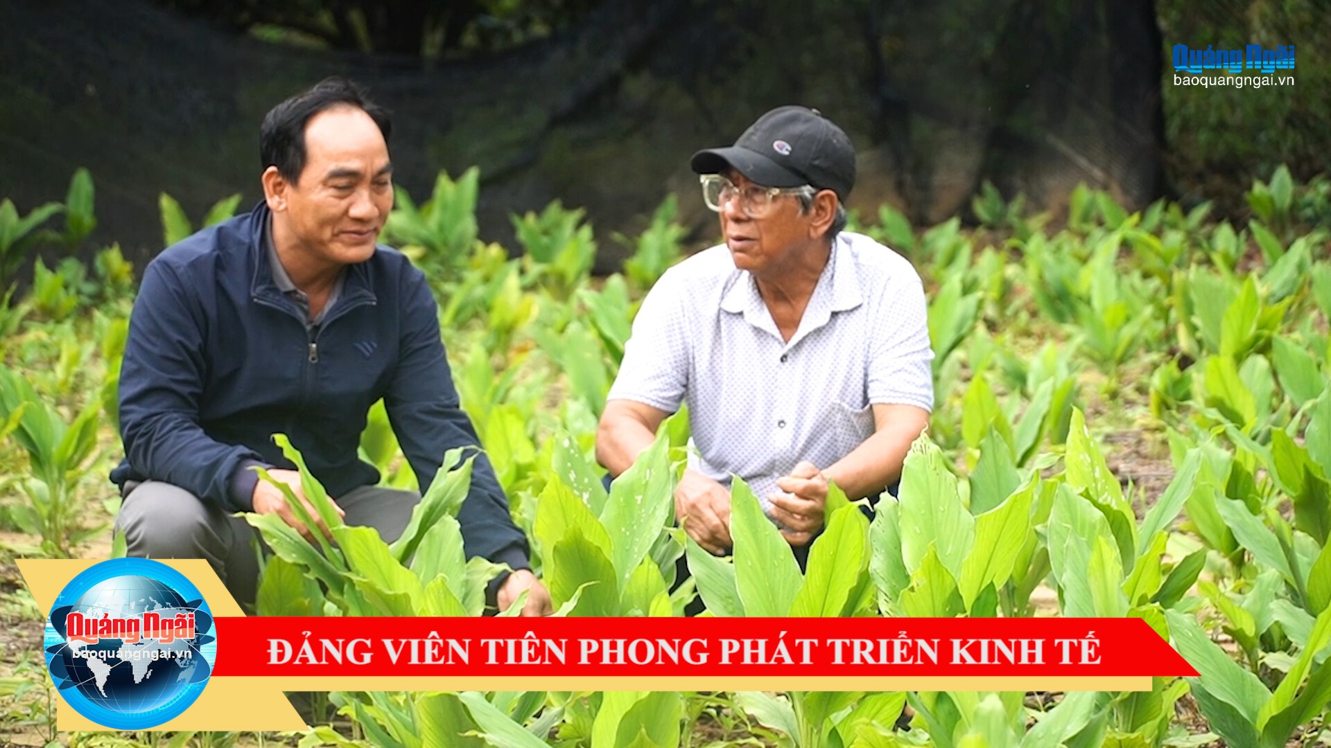 [Video]. Đảng viên tiên phong phát triển kinh tế